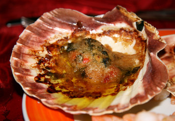 Conchiglia al forno