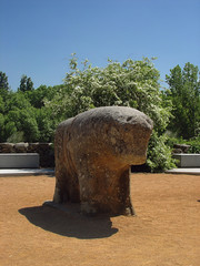 Berraco al sol © Javier Garcia