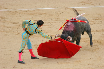 photo taken during corrida in madrid las ventas