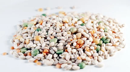 Fototapeten healthy grains and pulses © Anchels