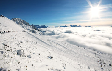 A beautiful alpine scene in Whistler, BC.