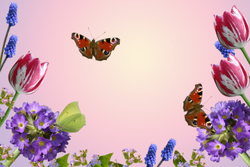 Composition from  flowers and butterflies. A spring card.
