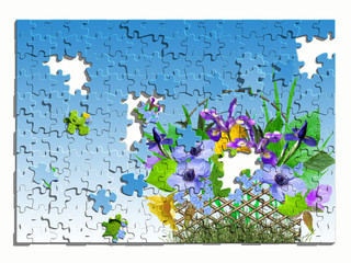 Plants, butterflies, puzzle.