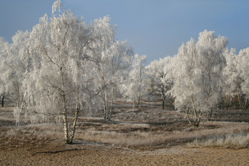 winter