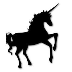 Unicorn © Massimo Saivezzo