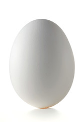 Egg isolated on white background
