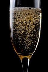 Champagne flute with bubbles against dark background