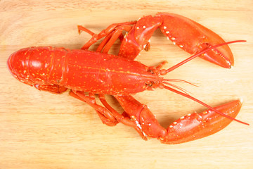 Whole lobster on wooden board