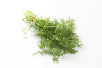 Ein Bund Dill vor weißem Hintergrund