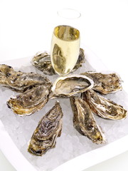 austern mit champagner