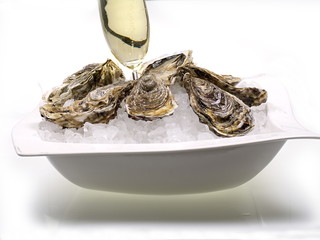 austern mit champagner