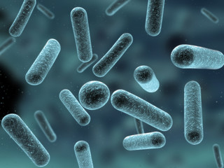3d bakterien