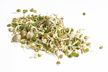 sprouts