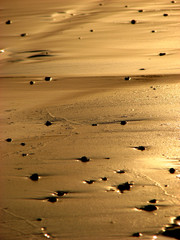 Golden Sand