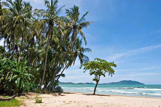 Plage de Tamarindo