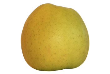 Green apple. It is isolatet on the white background