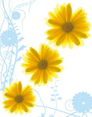 Yellow flowers on abstract blue background