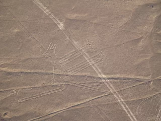 Foto op Canvas Nazca Lines Peruvian Desert © Jgz