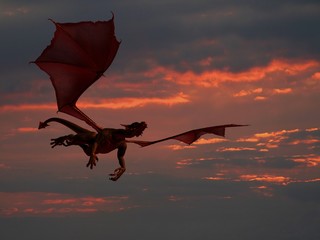 Dragon volant et coucher de soleil 2