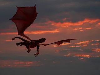 Rolgordijnen Vliegende Draak &amp  Zonsondergang 2 © Dan Marsh