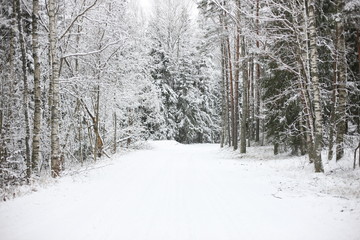 Typical scene of North Europe winter 