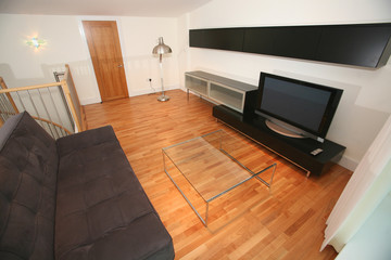 Modern furnished living room with plasma tv