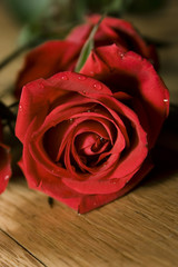 Sweetheart Roses