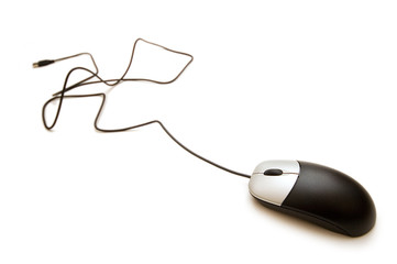 Computer mouse isolated on the white background