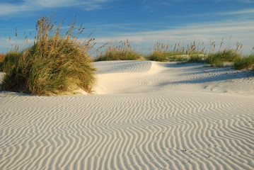Fototapeta na wymiar Wiatr stworzył delikatne fale na piasku.