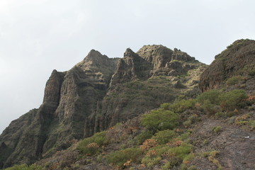 Fototapeta na wymiar le massif du teno (tenerife)