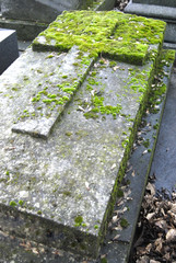 tombe - 2