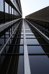 Fototapeta premium sukces