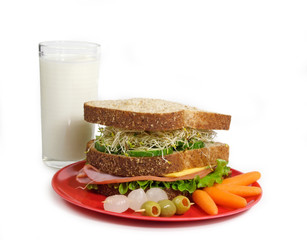 sandwich and milk