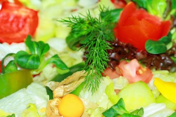 Detail of healthy salad and cheese