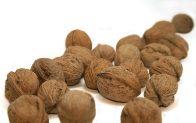 Some Walnuts isolated on a white background