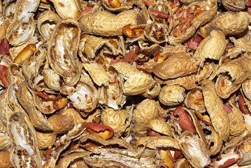 smashed monkey peanut shells