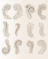 Abstract pattern for design. Floral retro ellements