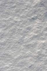 Obraz premium Fresh snow background texture
