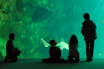 enfants et aquarium