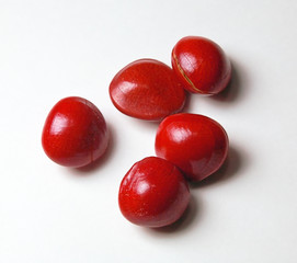 Small seed of a tropical plant