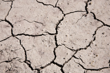 Cracked Earth