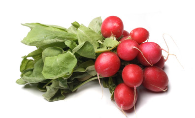 bunch of radishes on the white background