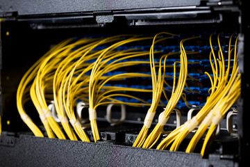 A shot of network cables connected to a panel