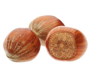 three hazelnuts isolated on white