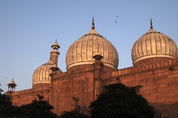 Fototapeta na wymiar Friday Mosque, Delhi