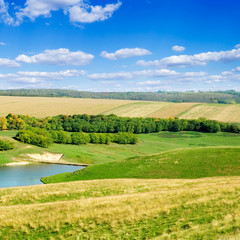 Obraz premium Lake, bulrush, blue sky, clouds.