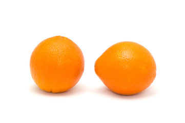 Two oranges on a white background.