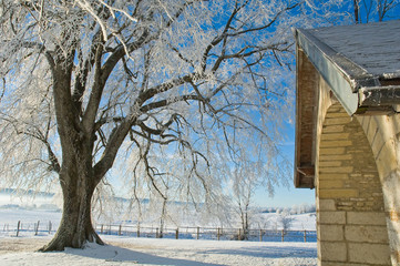 petite chapelle sous les arbres et la neige