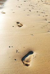 Footprints in the beach sand