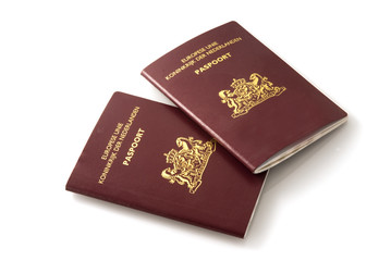 Dutch official passports